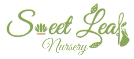 Sweet Leaf Nursery