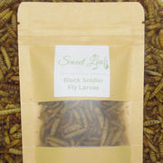 Black Soldier Fly Larvae (dried) - Hermetia illucens - Sweet Leaf Nursery