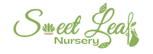 Sweet Leaf Nursery